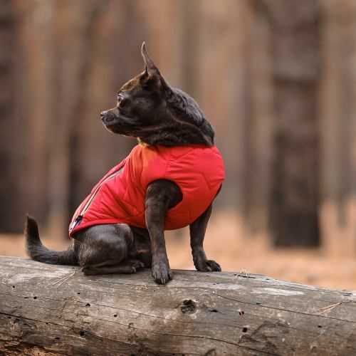 Жилет Pet Fashion E.Vest для собак червоний М2 PR242448 фото