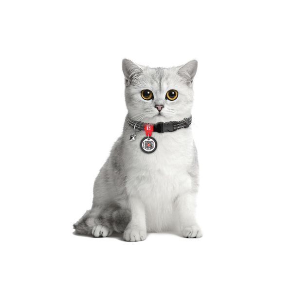 Ошейник для кошек из восстановленного хлопка WAUCAT Re-cotton с QR паспортом, светоотражающий, пластиковый фастекс, XS, Ш 10 мм, Длин 20-30 см, серый 164211 фото