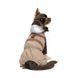 Дощовик Pet Fashion Mustang для собак розмір S PR243507 фото 3