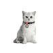Ошейник для кошек из восстановленного хлопка WAUCAT Re-cotton с QR паспортом, светоотражающий, пластиковый фастекс, XS, Ш 10 мм, Длин 20-30 см, серый 164211 фото 4