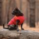 Жилет Pet Fashion E.Vest для собак червоний М2 PR242448 фото 5