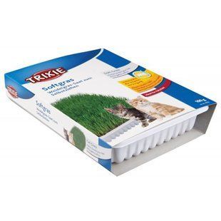 Трава Trixie Soft Grass для кошек и котят контейнер пластик 100 г 4232 фото