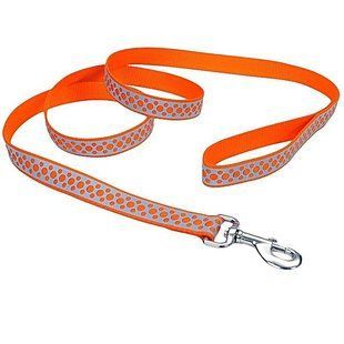 Coastal Lazer Brite Reflective Leash КОСТАЛ ЛАЗЕР БРАЙТ світловідбивний повідець для собак, 1.6смХ1.2м 46434_OAR04 фото
