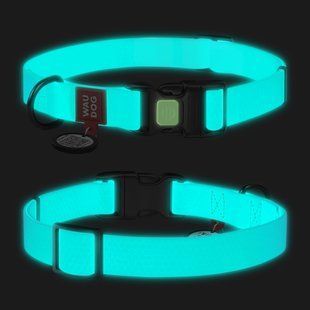 Ошейник для собак водостойкий WAUDOG Waterproof c QR паспортом, светонакопительный, пластиковая пряжка-фастекс, Ш 25 мм, Длинна 38-58 см 2780 фото