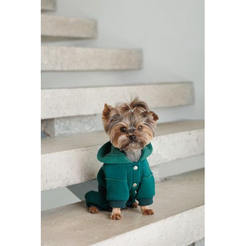 Костюм Pet Fashion Berry для собак размер M PR243762 фото