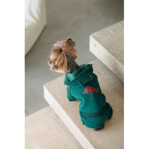 Костюм Pet Fashion Berry для собак размер M PR243762 фото