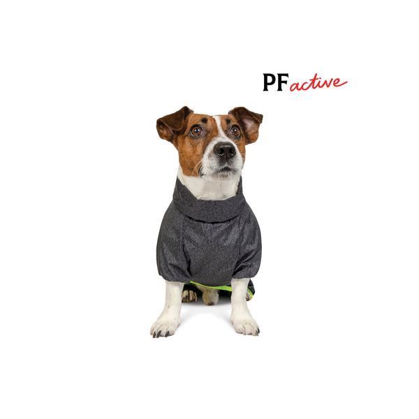 Комбинезон Pet Fashion Rain для собак серый XS PR242642 фото