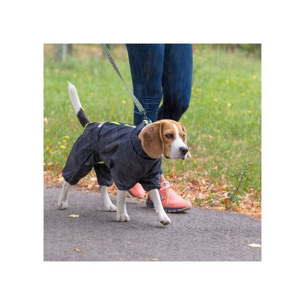 Комбинезон Pet Fashion Rain для собак серый XS PR242642 фото