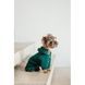 Костюм Pet Fashion Berry для собак размер M PR243762 фото 6