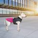 Попона Pet Fashion Roy для собак малиновая/серая 3XL PR243290 фото 7