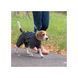 Комбинезон Pet Fashion Rain для собак серый XS PR242642 фото 4