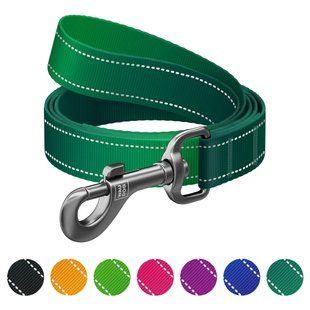 Повідець для собак нейлоновий WAUDOG Nylon Mono, світловідбивний, S, Ш 15 мм, Дов 200 см, зелений 463518 фото