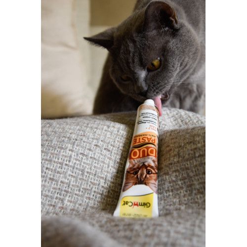 Паста GimCat DUO PASTE Anti-hairboll malt with cheese для котів з чутливим травленням усіх порід мальт та сир 50г G-427218 фото