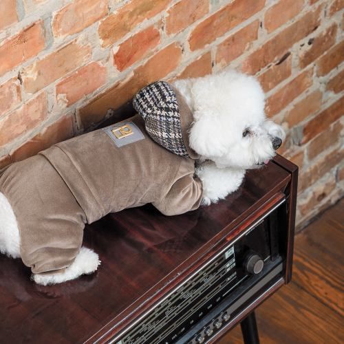 Костюм Pet Fashion &laquo;Soft&raquo; для собак, розмір L, коричневий (лімітована серія) PR242787 фото
