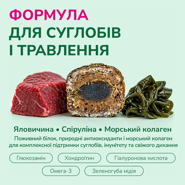 LK Baits Pet Nutrigel Beef S-M Функціональні ласощі для собак для суглобів з яловичиною і спіруліною (&Oslash; 15 мм), 150 г 7777003 фото