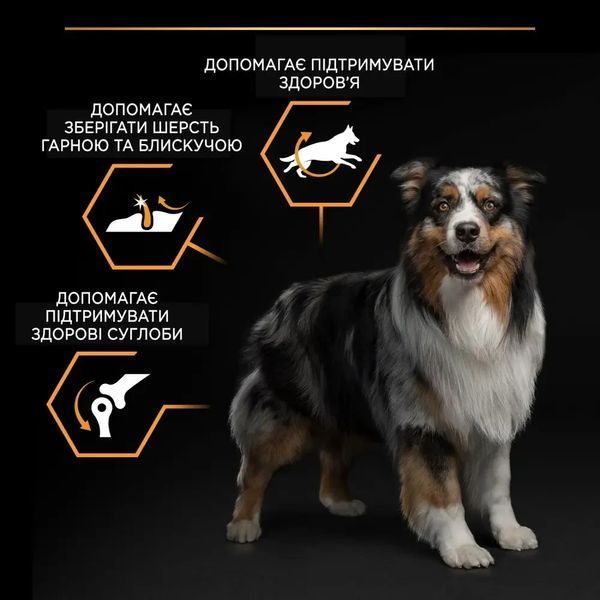 Сухий корм PRO PLAN Medium Adult 1+ Everyday Nutrion для дорослих собак середніх порід, з куркою, 14 кг 7613035120488 фото