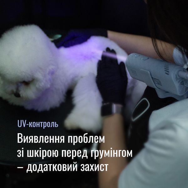 Tauro Pro Line Універсальний фен для тварин із гнучкою системою кріплення на шиї, з вилкою ЄС, фіолетовий TPLKAKLO70575 фото