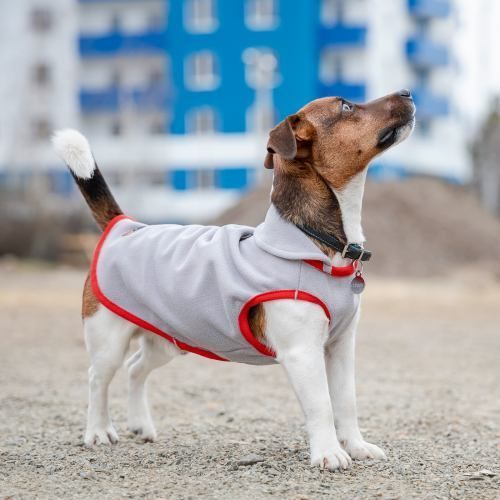 Жилет Pet Fashion Fleecy для собак сірий/червоний ХS2 FLEECY сер-кр XS2 фото