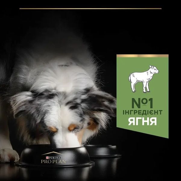 Сухий корм PRO PLAN Medium Adult 1+ Sensitive Digestion для дорослих собак середніх порід, з чутливим травленням, з ягням, 3 кг 7613035214798 фото
