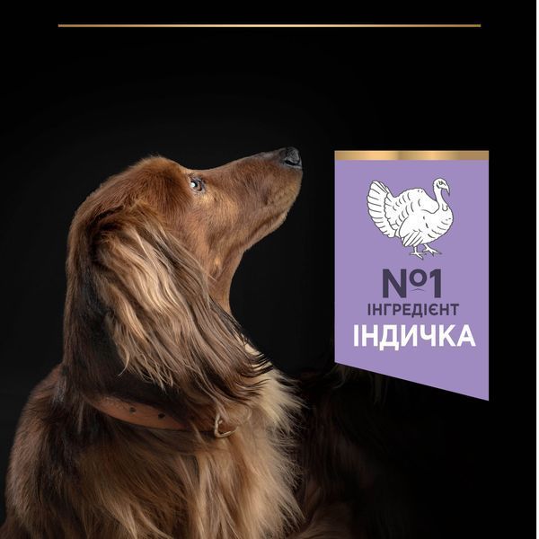 Сухий корм PRO PLAN Small&Mini Adult 1+ Sensitive Digestion для дорослих собак дрібних порід, з чутливим травленням, беззерновий, з індичкою, 2,5 кг 7613036731324 фото
