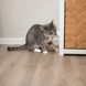 Іграшка Trixie для котів Куля з котячої м яти з тримачем 5 см 42242 фото 4
