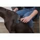 Щетка-пуходерка Trixie для собак мягкая с пластиковой ручкой 10х17 см 24132 фото 3