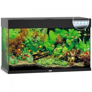 Аквариум Juwel прямой Rio 125 LED, 81х50х36 см, 125 л 1350/1300 фото