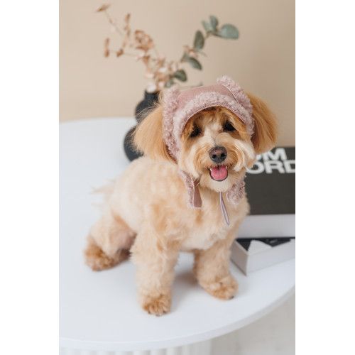 Шапка Pet Fashion Valley для собак размер M PR243767 фото