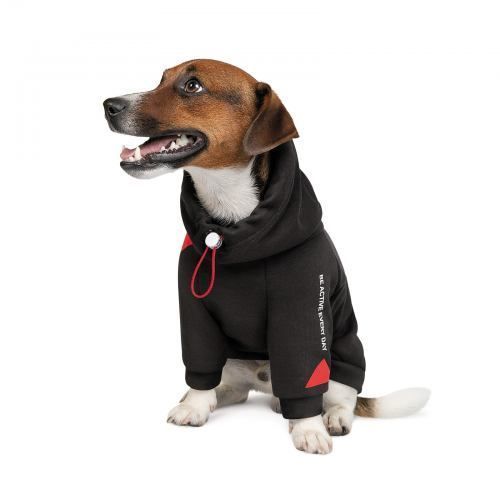 Худые Pet Fashion &laquo;Snoodie&raquo; для собак, размер M2, черный PR242343 фото