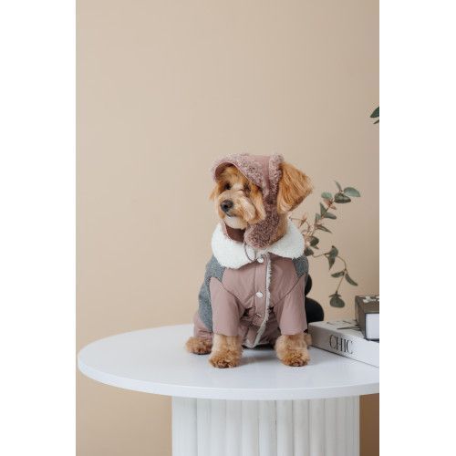 Шапка Pet Fashion Valley для собак размер M PR243767 фото
