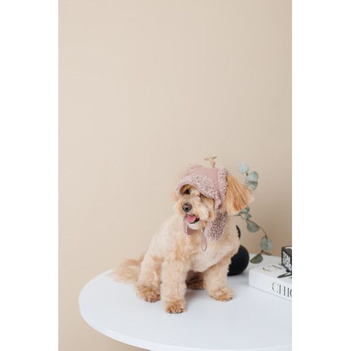 Шапка Pet Fashion Valley для собак размер M PR243767 фото