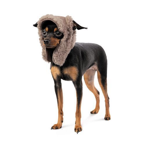 Шапка Pet Fashion Valley для собак размер M PR243767 фото