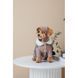 Шапка Pet Fashion Valley для собак размер M PR243767 фото 7