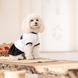 Плаття Chanti ТМ Pet Fashion для собак S PR 442089 фото 4