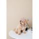 Шапка Pet Fashion Valley для собак размер M PR243767 фото 4