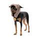 Шапка Pet Fashion Valley для собак размер M PR243767 фото 2