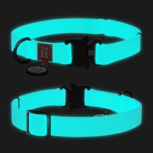 Ошейник для собак водостойкий WAUDOG Waterproof c QR паспортом, светонакопительный, металлическая пряжка-фастекс, Ш 25 мм, Длинна 38-58 см 2783 фото