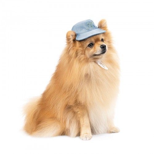 Панама Pet Fashion для собак Blue M з квітковим принтом PR243424 фото