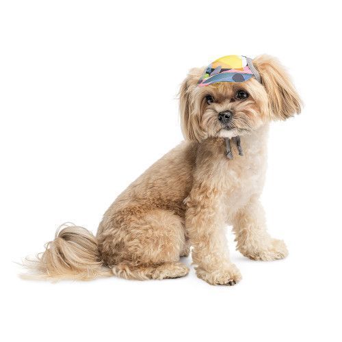 Кепка Tony ТМ Pet Fashion для собак M PR 442096 фото