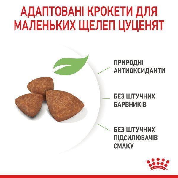 Корм для щенков ROYAL CANIN XSMALL PUPPY 3.0 кг 10020301 фото