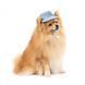Панама Pet Fashion для собак Blue M з квітковим принтом PR243424 фото 2
