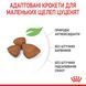 Корм для щенков ROYAL CANIN XSMALL PUPPY 3.0 кг 10020301 фото 5