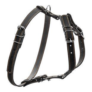 Шлей "CoLLaR" одинарный для малых и средних собак (ширина 20мм, А:40-56см, В:57-65см) черный 06361 фото