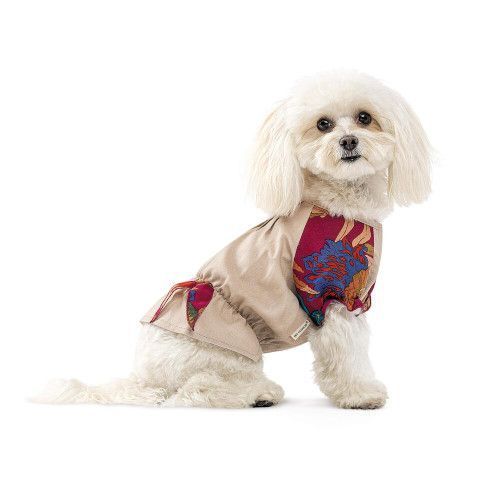 Рубашка Pet Fashion Соломия для собак бежевая девочка Xs2 PR244037 фото