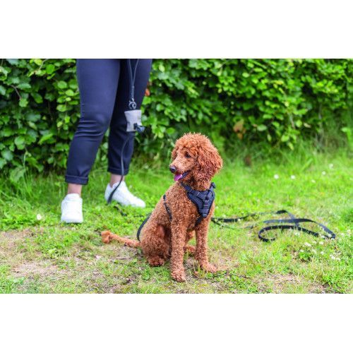 Шлей Trixie CityStyle H-harness для собак бавовна L-XL 75-120 см 25 мм чорна 1969901 фото