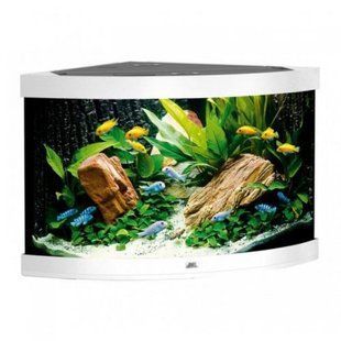 Аквариум Juwel угловой Trigon 190 LED, 99x60x70 см, 190 л 16450/16400 фото