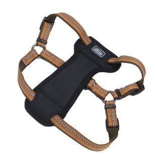 Coastal K9 Explorer Harness КОСТАЛ К9 ЕКСПЛОРЕР світловідбивна шлея з нагрудником для собак 2.3-4.5кг 36445_COG18 фото