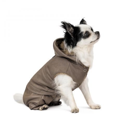 Костюм Pet Fashion &laquo;PF Style&raquo; для собак, розмір XXS, бежевий (лімітована серія) PR242792 фото