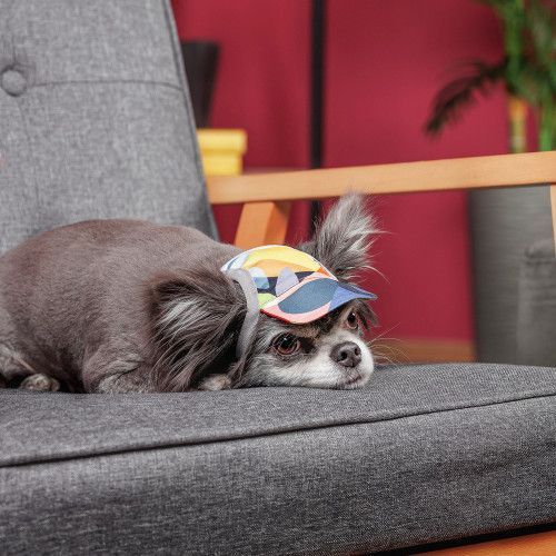 Кепка Tony ТМ Pet Fashion для собак S, бабівна PR 442119 фото