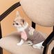 Футбока Rose XS2 девочка PR243435 фото 4